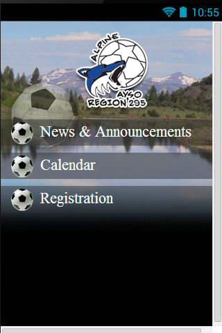 AYSO Region 295