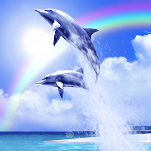 Tropical Ocean-Rainbow logo