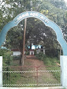 Palackal Kalari Temple