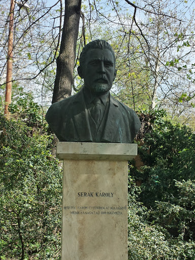 Serák Károly