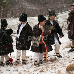 preparations for Christmas Eve by Cristina Gusatu - People Group/Corporate