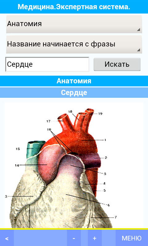 Android application Медицина. Экспертная система. screenshort