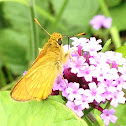 Large Skipper