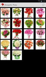 Download Bouquets APK for Android