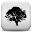 Forest Sounds to Relax Download on Windows