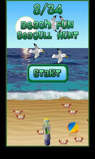 Beach Fun Seagull Hunt