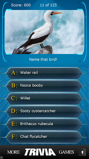 Name that Bird Trivia