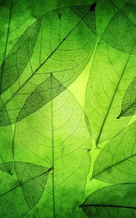 How to download Green Leaves Live Wallpaper 1.0 unlimited apk for android