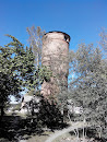 Water Tower at Zhovtneve