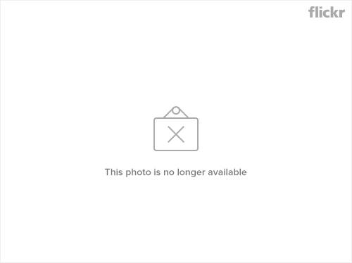 金山遊(1) 漁村海鮮餐廳