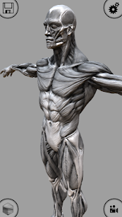 Free MARA3D Male Anatomy APK for Android