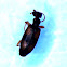 Ant-like Flower Beetle