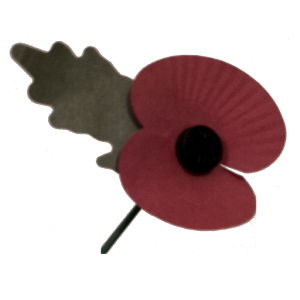 Poppy Appeal 2014 logo
