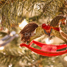 the ornament you hung on by Chris Pugh - Public Holidays Christmas