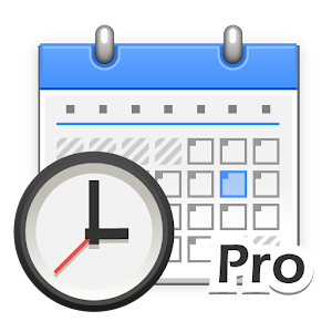 Time Recording Pro