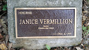 Janice Vermillion