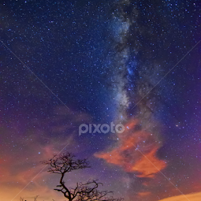 Dancing at Milky Way by KIN WAH WONG - Landscapes Starscapes