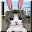 ChoCho Cat Download on Windows