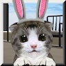 ChoCho Cat Application icon