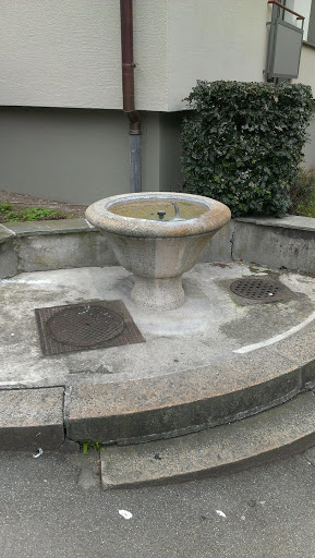 Brunnen Wilfriedstrasse