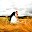 Wedding Photo Poses (lite) Download on Windows