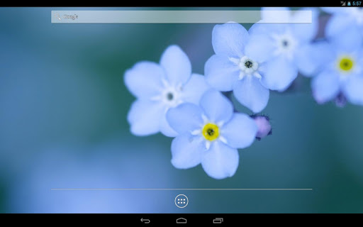 免費下載個人化APP|Flower HD Live Wallpaper app開箱文|APP開箱王