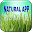 NATURAL APP Download on Windows
