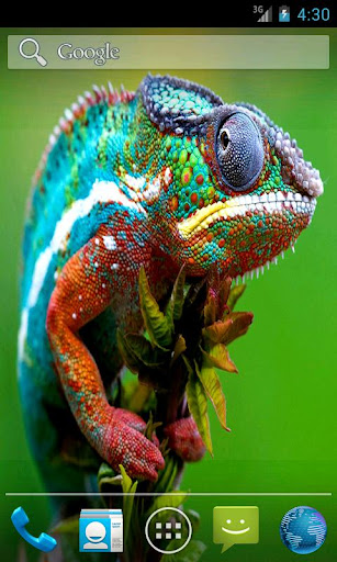 Pet Chameleon Effect LWP