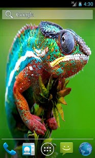 Pet Chameleon Effect LWP Screenshots 0
