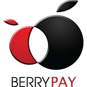 BerryPay 3