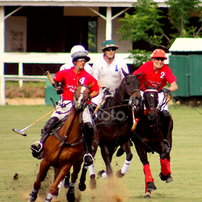 by BJ Williamson - Sports & Fitness Other Sports