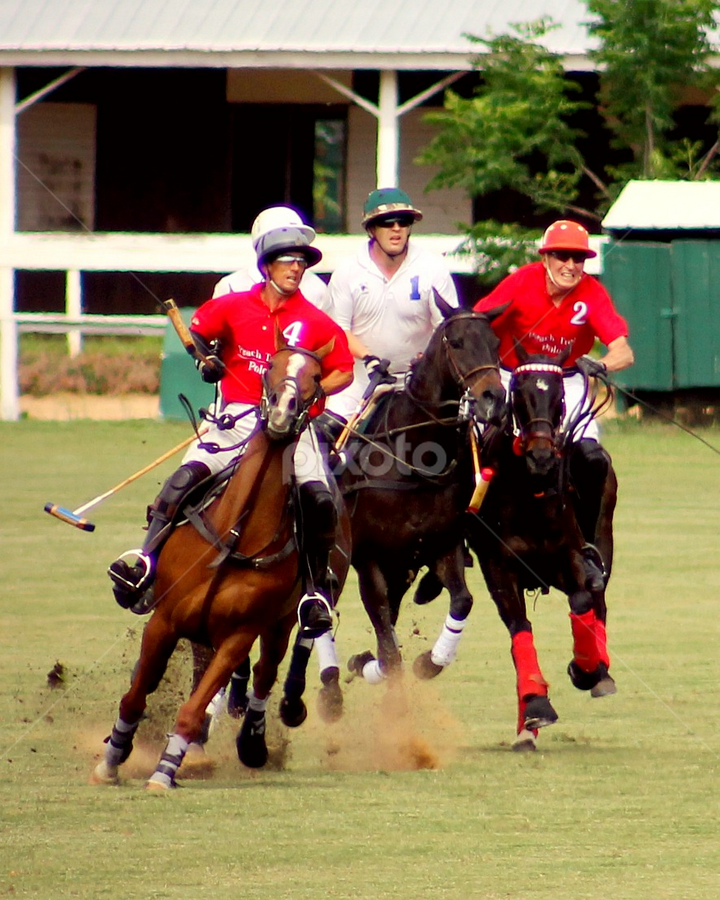 by BJ Williamson - Sports & Fitness Other Sports