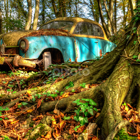 Car Cemetary by Lukas Proszowski - Transportation Automobiles