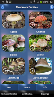 How to install Mushroom Id: USA & Canada v3 apk for pc