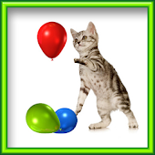 Balloon Playing for Cat