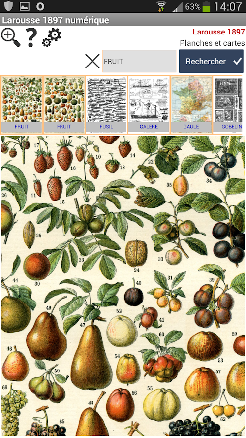 Android application Larousse 1897 screenshort
