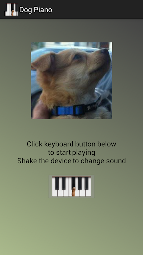 Dog Piano