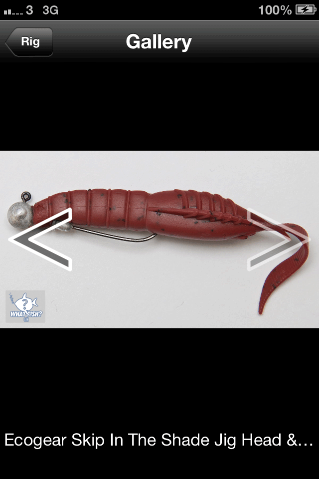 What Fish UK Screen 3