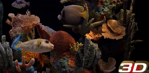 3d Aquarium Fond Décran Animé Applications Sur Google Play