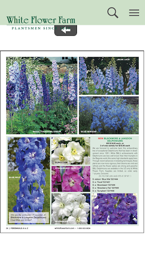 White Flower Farm Catalogs