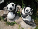 Twin panda