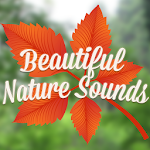Beautiful Nature Sounds Apk