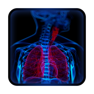 Body Xray- Prank 1.2