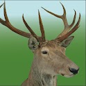mobichasse lite logo