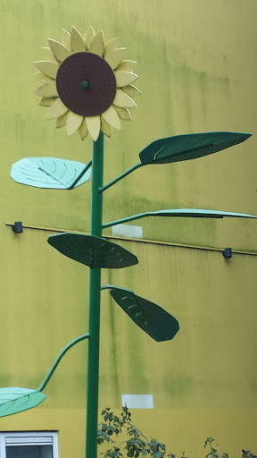Arty Sunflowers