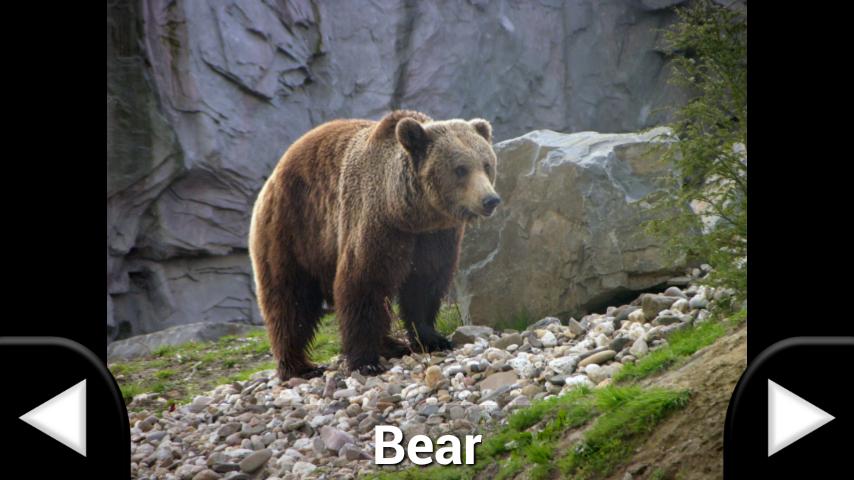    Toddler Animal Sounds- screenshot  