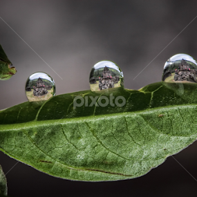 Gedong Songo Fade by Franciscus Satriya Wicaksana - Nature Up Close Natural Waterdrops