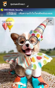 Free DogDog Lover APK for Android