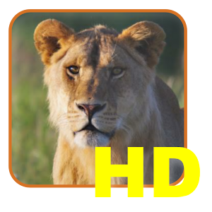 Safari List HD - East Africa.apk 1.00.00