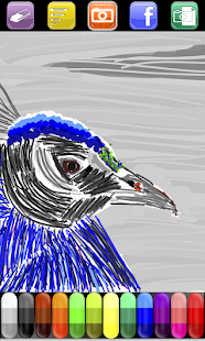 Download picAdraw - Paint on Photos APK for Android